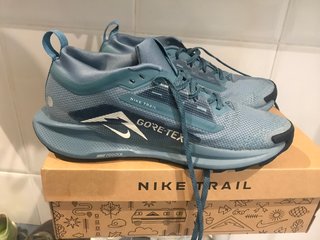 Nike Pegasus Trail 5 GTX Talla 40.5