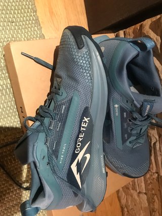 Nike Pegasus Trail 5 GTX Talla 40.5
