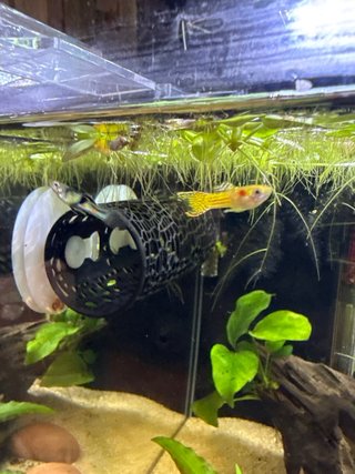 Acuario 25L completo