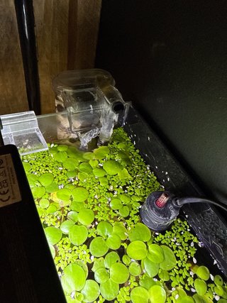 Acuario 25L completo