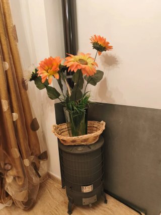 Estufa de leña