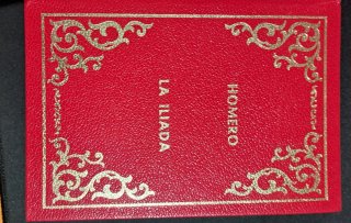 Libro la odisea