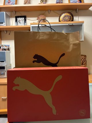 Botas Fútbol Puma Future Gama Alta