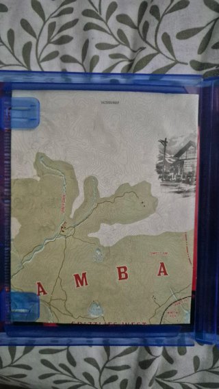 Red Dead Redemption 2 PS4