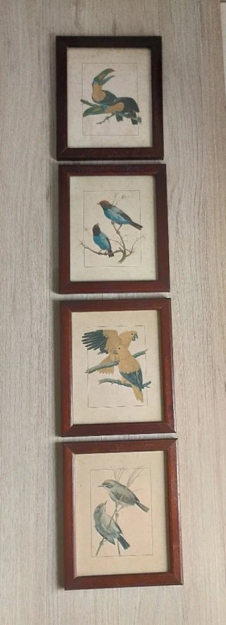 Lote 4 Cuadros Vintage Aves 22x18,5 cm