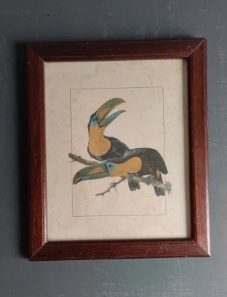 Lote 4 Cuadros Vintage Aves 22x18,5 cm