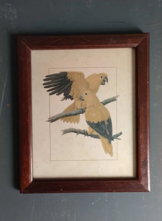 Lote 4 Cuadros Vintage Aves 22x18,5 cm