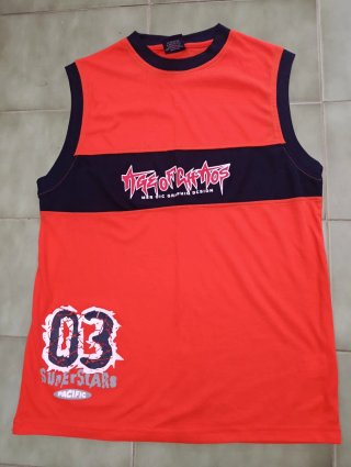 Camiseta Paladino Talla L