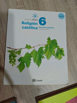 Lote de libros de 6° de primaria Karol e