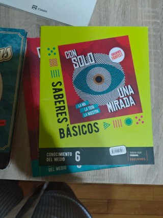 Lote de libros de 6° de primaria Karol e