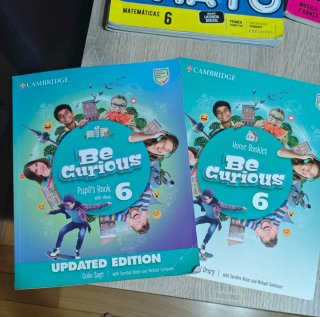 Lote de libros de 6° de primaria Karol e
