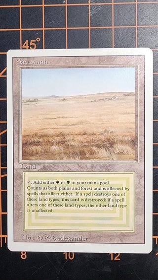 Carta Magic Savannah NM