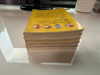 Lote de 5 libros de Geronimo Stilton