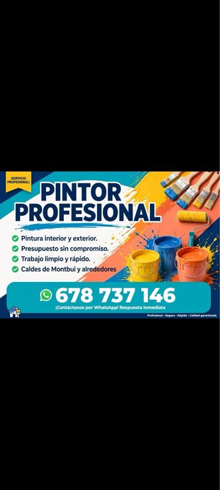 Pintor profesional a buen precio