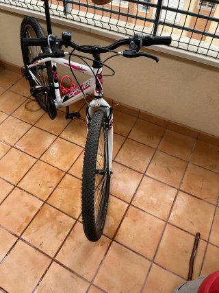 Bicicleta Orus 275