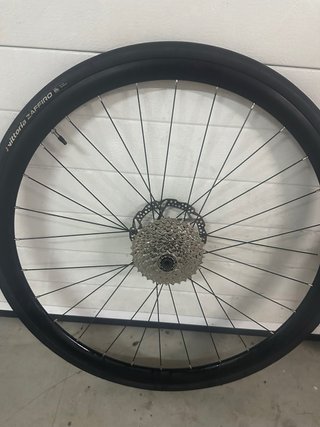 Ruedas Orbea Avant/Orca
