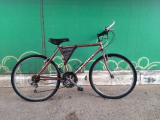 Bicicleta Olympic de montaña