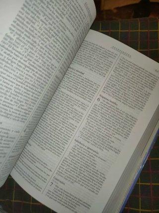 La Biblia didáctica