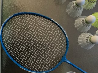 Raquetas y volantes de bádminton