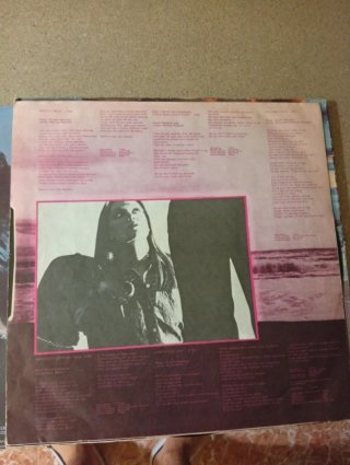 Vinilos Scorpions: Animal Magnetism y Savage Amuse