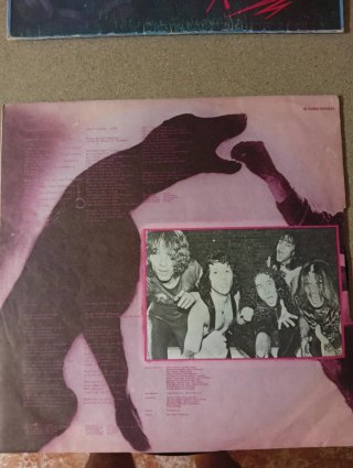 Vinilos Scorpions: Animal Magnetism y Savage Amuse