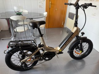 Bicicleta Eléctrica Plegable Engwe L20-3.0 Pro