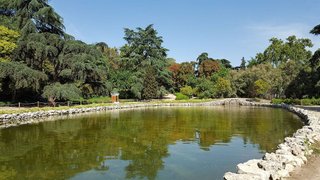 Estudio en alquiler en Fuente del Berro en Madrid