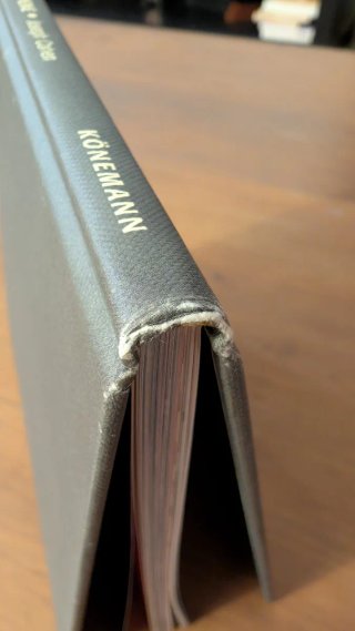 El Libro del Pene