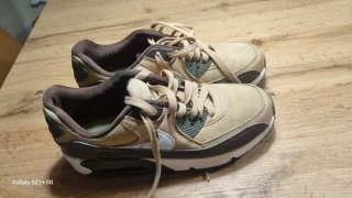 Nike Air Max 90 Beige/Marrón