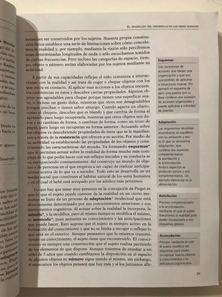 Psicología del desarrollo I