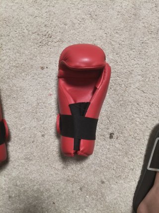 Guantes de artes marciales Fujimae Rojos