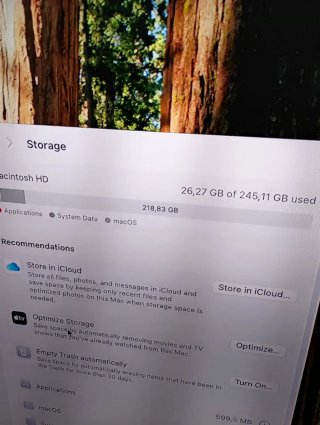 Mac mini 1 2020