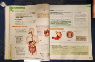 CIENCIAS DE LA NATURALEZA 6 (COMUNIDAD ZOOM)