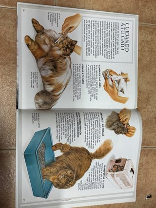Enciclopedia de Los Gatos