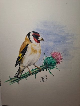 Disegno originale uccellino su fiore di cardo