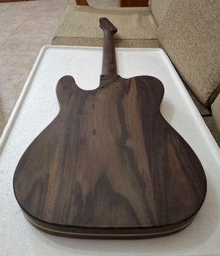 Kit de guitarra Tele caster todo Rosewood