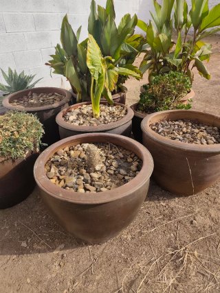 Macetas grandes y pequeñas de terracota