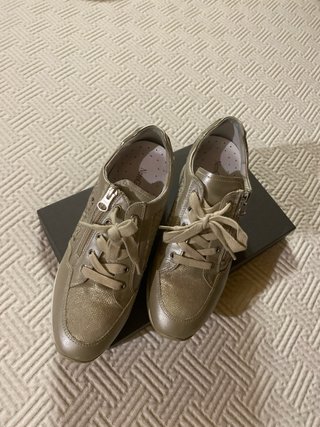 Zapatillas NeroGiardini Oro/Plata
