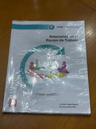 Relaciones en el equipo de trabajo Grado Medio