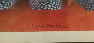 Cuadro 3 Bebés en Macetas de Anne Geddes