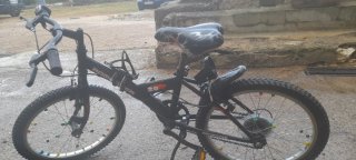 Bicicleta infantil Rome Star 20