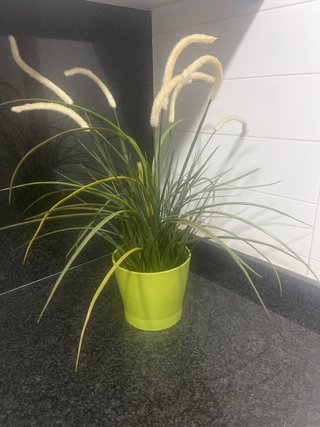 Planta artificial decorativa tiesto incluido