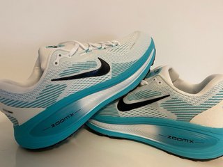 Nike Vomero 18 Azul Talla 45