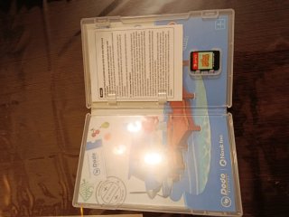 Animal Crossing New Horizons Nintendo Switch