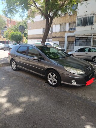 Peugeot 407 2010
