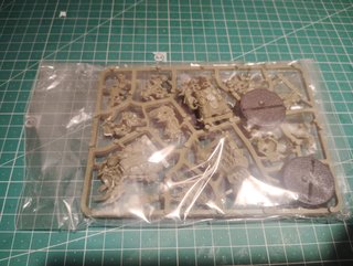 3 Marines de Plaga Death Guard