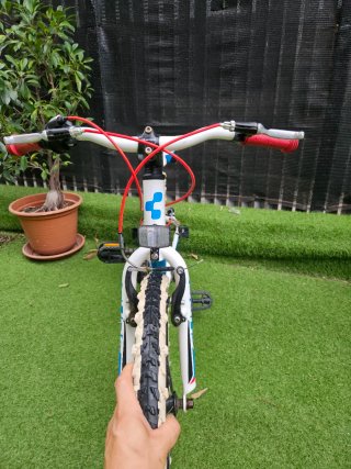 Bicicleta Infantil 20 pulgadas