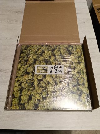 Vinilo de Dre Edición Limitada 2001ej