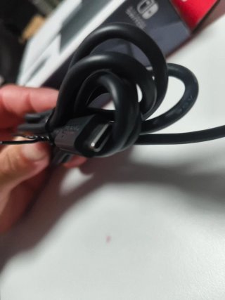 Cargador Nintendo Switch AC Original