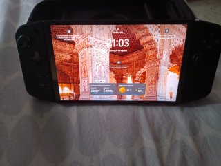 Funda Lenovo Legion Z1